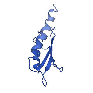 10149_6sd5_L_v1-1
Structure of the RBM2 inner ring of Salmonella flagella MS-ring protein FliF with 22-fold symmetry applied