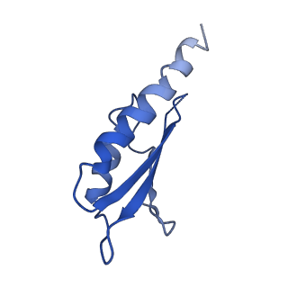 10149_6sd5_M_v1-1
Structure of the RBM2 inner ring of Salmonella flagella MS-ring protein FliF with 22-fold symmetry applied