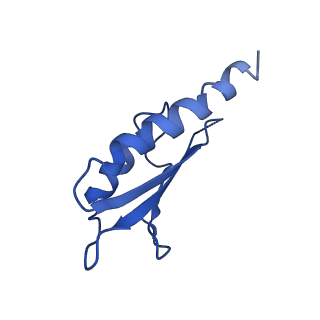 10149_6sd5_O_v1-1
Structure of the RBM2 inner ring of Salmonella flagella MS-ring protein FliF with 22-fold symmetry applied