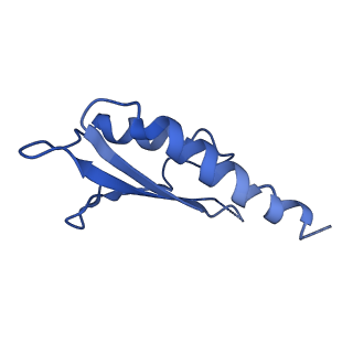 10149_6sd5_U_v1-1
Structure of the RBM2 inner ring of Salmonella flagella MS-ring protein FliF with 22-fold symmetry applied