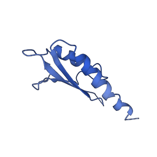10149_6sd5_W_v1-1
Structure of the RBM2 inner ring of Salmonella flagella MS-ring protein FliF with 22-fold symmetry applied