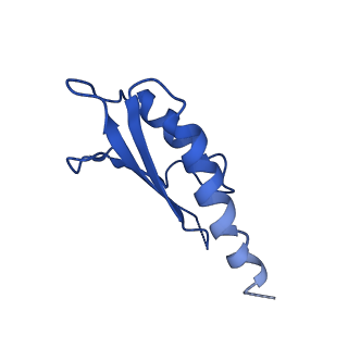 10149_6sd5_X_v1-1
Structure of the RBM2 inner ring of Salmonella flagella MS-ring protein FliF with 22-fold symmetry applied