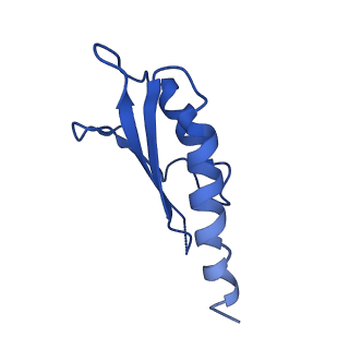 10149_6sd5_Z_v1-1
Structure of the RBM2 inner ring of Salmonella flagella MS-ring protein FliF with 22-fold symmetry applied