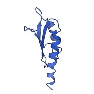 10149_6sd5_a_v1-1
Structure of the RBM2 inner ring of Salmonella flagella MS-ring protein FliF with 22-fold symmetry applied