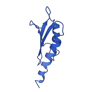 10149_6sd5_c_v1-1
Structure of the RBM2 inner ring of Salmonella flagella MS-ring protein FliF with 22-fold symmetry applied