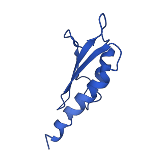 10149_6sd5_d_v1-1
Structure of the RBM2 inner ring of Salmonella flagella MS-ring protein FliF with 22-fold symmetry applied