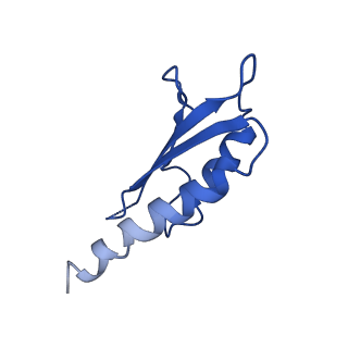 10149_6sd5_f_v1-1
Structure of the RBM2 inner ring of Salmonella flagella MS-ring protein FliF with 22-fold symmetry applied