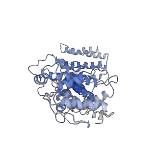 23517_7sde_A_v1-0
Cryo-EM structure of Nse5/6 heterodimer