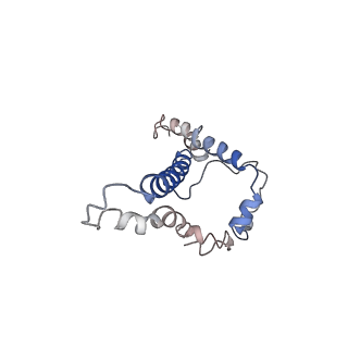 25045_7sd3_D_v1-1
Cytoplasmic tail deleted HIV-1 Env bound with three 4E10 Fabs