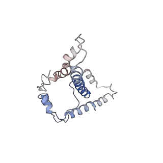 25045_7sd3_F_v1-1
Cytoplasmic tail deleted HIV-1 Env bound with three 4E10 Fabs