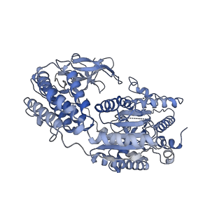 40348_8sd0_A_v1-0
Cryo-EM structure of RIG-I in complex with p3SLR14