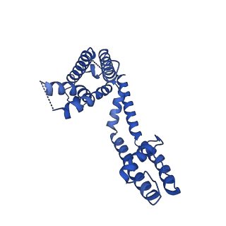 40349_8sd3_A_v1-2
CryoEM structure of rat Kv2.1(1-598) wild type in nanodiscs