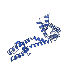 40349_8sd3_C_v1-2
CryoEM structure of rat Kv2.1(1-598) wild type in nanodiscs