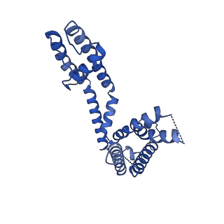 40349_8sd3_D_v1-2
CryoEM structure of rat Kv2.1(1-598) wild type in nanodiscs