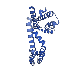 40350_8sda_A_v1-2
CryoEM structure of rat Kv2.1(1-598) L403A mutant in nanodiscs