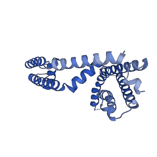 40350_8sda_B_v1-2
CryoEM structure of rat Kv2.1(1-598) L403A mutant in nanodiscs