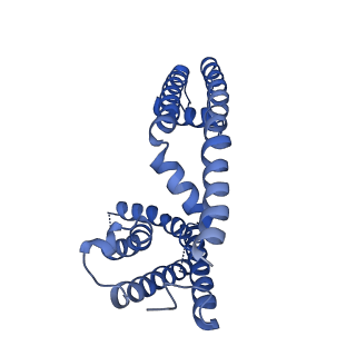 40350_8sda_C_v1-2
CryoEM structure of rat Kv2.1(1-598) L403A mutant in nanodiscs