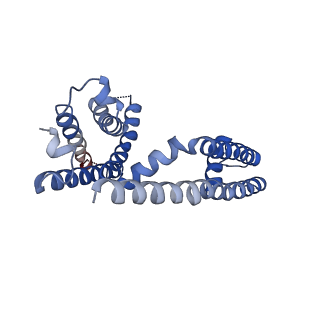 40350_8sda_D_v1-2
CryoEM structure of rat Kv2.1(1-598) L403A mutant in nanodiscs