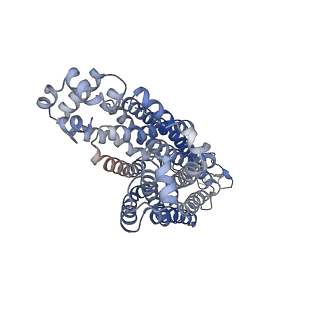 40354_8sdy_A_v1-2
Structure of rat organic anion transporter 1 (OAT1) in complex with para-aminohippuric acid (PAH)
