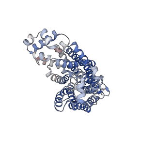 40355_8sdz_A_v1-2
Structure of rat organic anion transporter 1 (OAT1) in complex with probenecid