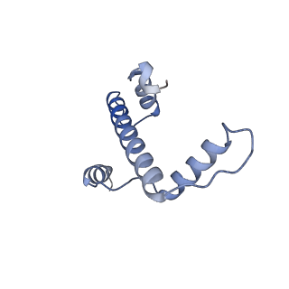 10151_6se0_A_v1-4
Class 1 : CENP-A nucleosome