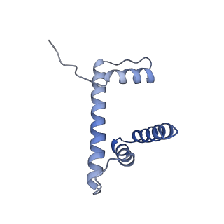 10151_6se0_D_v1-4
Class 1 : CENP-A nucleosome