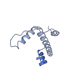 10151_6se0_E_v1-4
Class 1 : CENP-A nucleosome