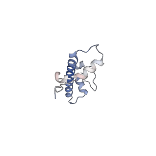 10151_6se0_G_v1-4
Class 1 : CENP-A nucleosome