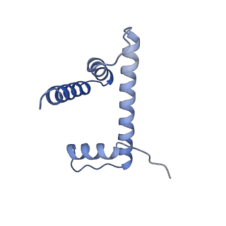 10151_6se0_H_v1-4
Class 1 : CENP-A nucleosome