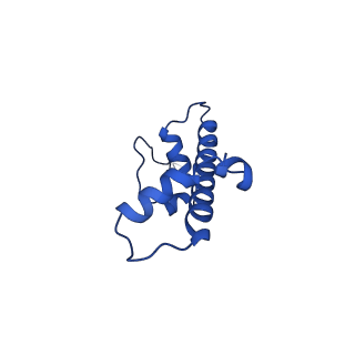 10152_6se6_C_v1-4
Class2 : CENP-A nucleosome in complex with CENP-C central region
