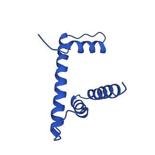 10152_6se6_D_v1-4
Class2 : CENP-A nucleosome in complex with CENP-C central region