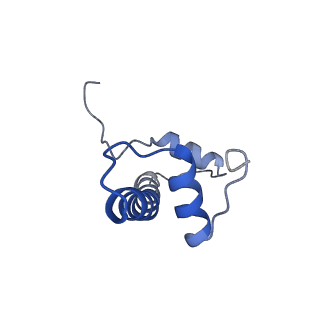 10152_6se6_F_v1-4
Class2 : CENP-A nucleosome in complex with CENP-C central region