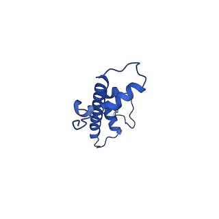 10152_6se6_G_v1-4
Class2 : CENP-A nucleosome in complex with CENP-C central region