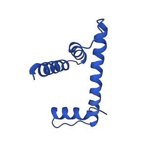 10152_6se6_H_v1-4
Class2 : CENP-A nucleosome in complex with CENP-C central region