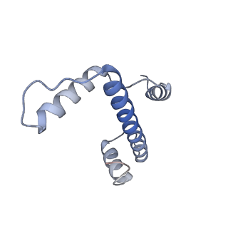 10153_6see_A_v1-4
Class2A : CENP-A nucleosome in complex with CENP-C central region