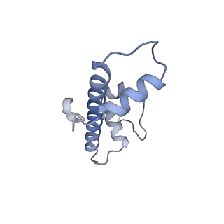 10153_6see_C_v1-4
Class2A : CENP-A nucleosome in complex with CENP-C central region