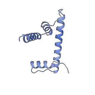 10153_6see_D_v1-4
Class2A : CENP-A nucleosome in complex with CENP-C central region