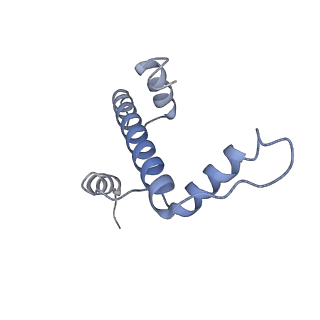 10153_6see_E_v1-4
Class2A : CENP-A nucleosome in complex with CENP-C central region