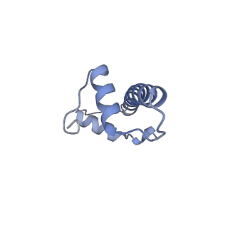 10153_6see_F_v1-4
Class2A : CENP-A nucleosome in complex with CENP-C central region