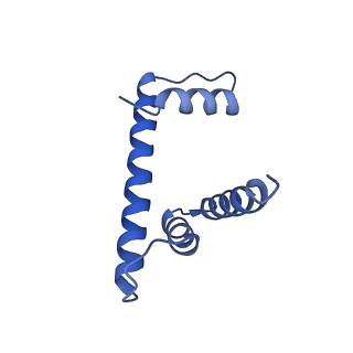 10153_6see_H_v1-4
Class2A : CENP-A nucleosome in complex with CENP-C central region