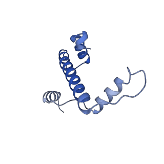10154_6sef_A_v1-4
Class2C : CENP-A nucleosome in complex with CENP-C central region