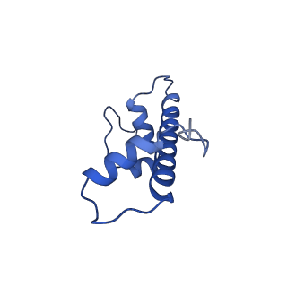 10154_6sef_C_v1-4
Class2C : CENP-A nucleosome in complex with CENP-C central region