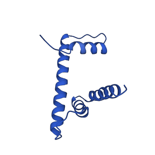 10154_6sef_D_v1-4
Class2C : CENP-A nucleosome in complex with CENP-C central region