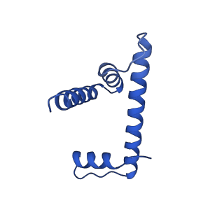 10154_6sef_H_v1-4
Class2C : CENP-A nucleosome in complex with CENP-C central region
