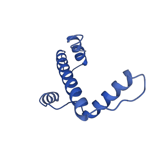 10155_6seg_A_v1-4
Class1: CENP-A nucleosome in complex with CENP-C central region