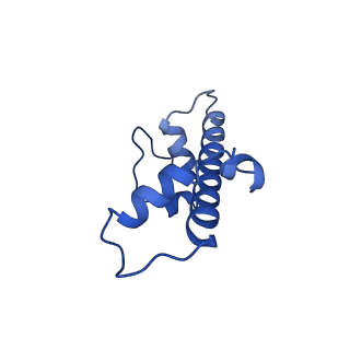 10155_6seg_C_v1-4
Class1: CENP-A nucleosome in complex with CENP-C central region