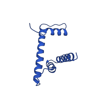 10155_6seg_D_v1-4
Class1: CENP-A nucleosome in complex with CENP-C central region