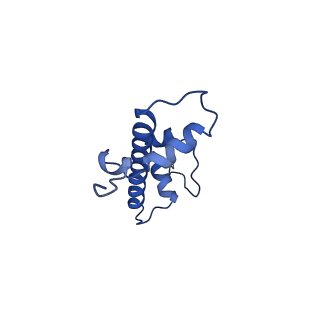 10155_6seg_G_v1-4
Class1: CENP-A nucleosome in complex with CENP-C central region