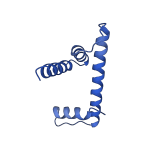 10155_6seg_H_v1-4
Class1: CENP-A nucleosome in complex with CENP-C central region