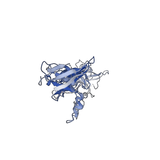 25067_7sef_C_v1-1
Structure of E. coli LetB delta (Ring6) mutant, Ring 1 in the open state (Model 2, Rings 1-3 only)